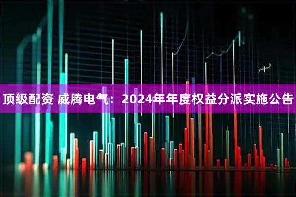 顶级配资 威腾电气：2024年年度权益分派实施公告