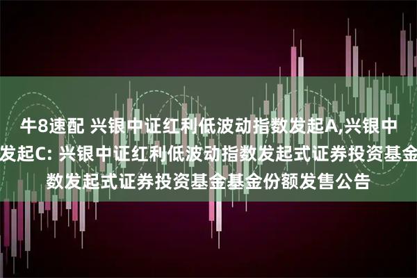 牛8速配 兴银中证红利低波动指数发起A,兴银中证红利低波动指数发起C: 兴银中证红利低波动指数发起式证券投资基金基金份额发售公告
