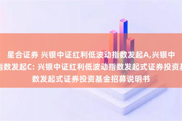 星合证券 兴银中证红利低波动指数发起A,兴银中证红利低波动指数发起C: 兴银中证红利低波动指数发起式证券投资基金招募说明书