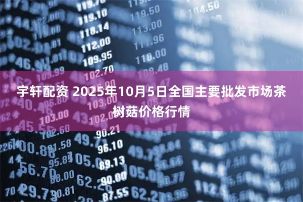 宇轩配资 2025年10月5日全国主要批发市场茶树菇价格行情